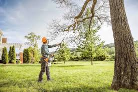 Best Root Management and Removal  in Brandermill, VA