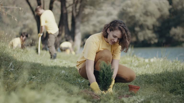 Best Organic Lawn Care Solutions  in Brandermill, VA