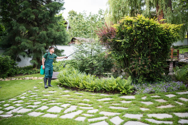 Best Lawn Pest Prevention  in Brandermill, VA