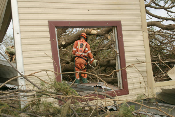 Best Fruit Tree Pruning  in Brandermill, VA